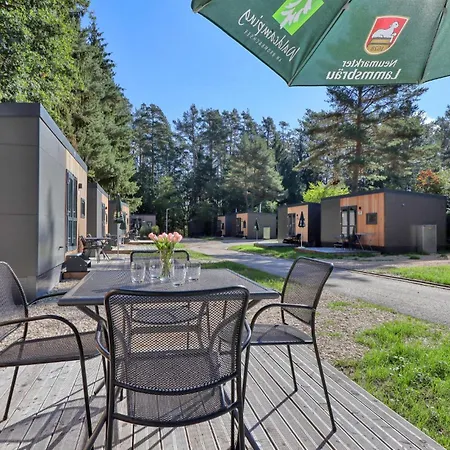 Holiday home Tiny Haus 45 Am Brombachsee